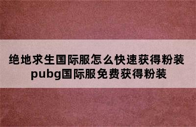 绝地求生国际服怎么快速获得粉装 pubg国际服免费获得粉装